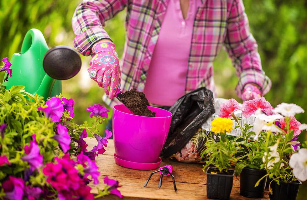 ¿Cómo cuidar tu jardín en primavera?