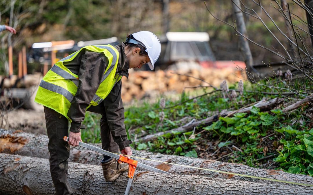 Trabajo forestal: Las medidas que hay que tomar para desarrollar esta labor